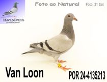 POR 24-4135213